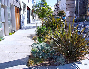 sidewalk landscaping photo