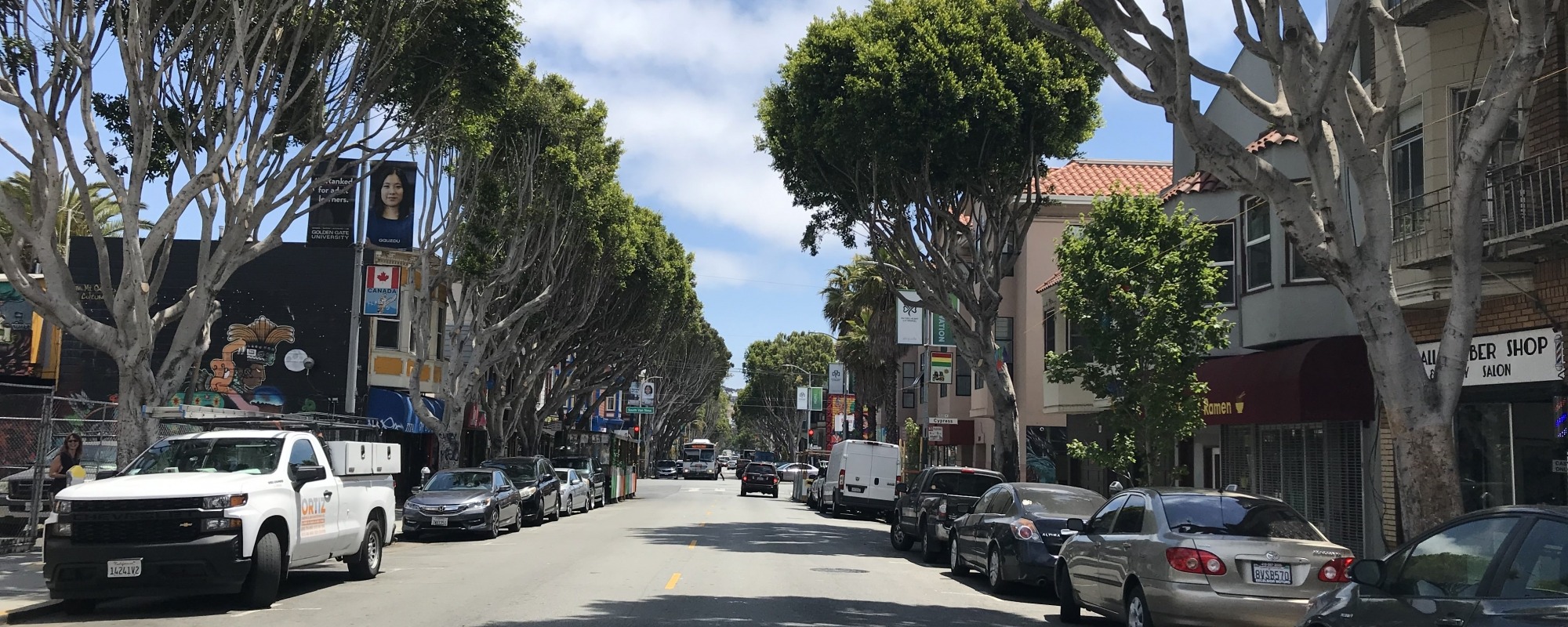 calle 24 street trees