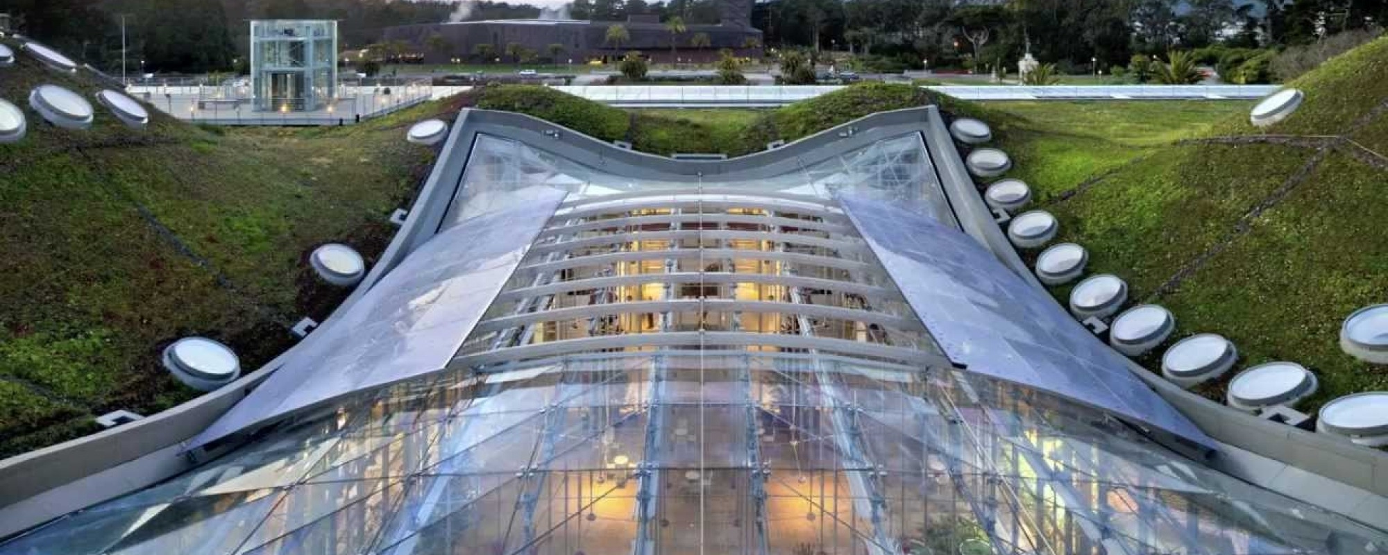 California Academy of Sciences